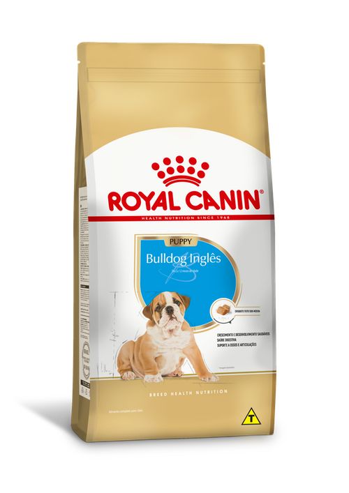 BULLDOG INGLES PUPPY 12KG