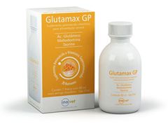 GLUTAMAX GP                    80ML