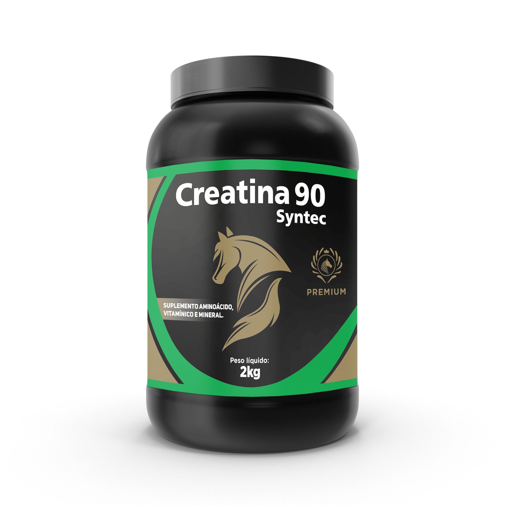 CREATINA 90 SYNTEC 2KG